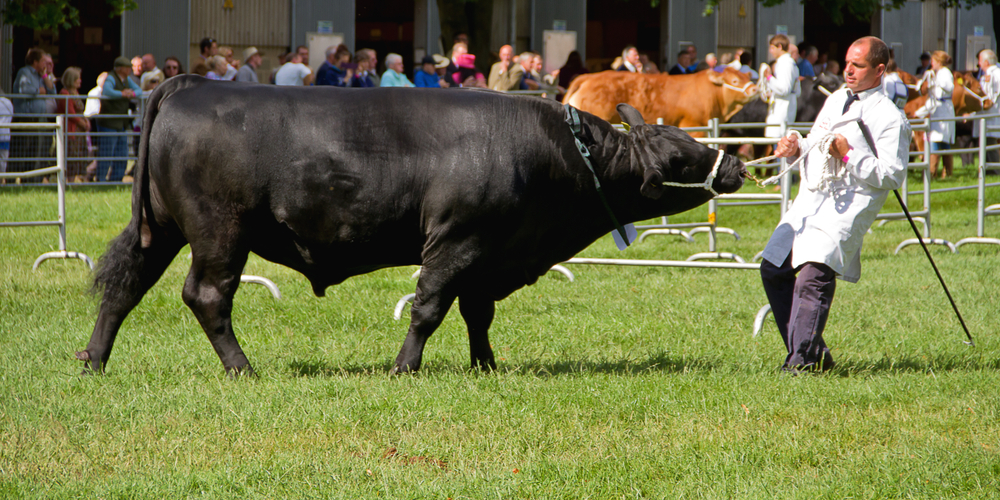 WM AGRI GOES ON TOUR