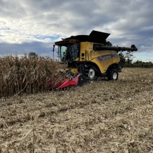 Capello Diamant Maize Header