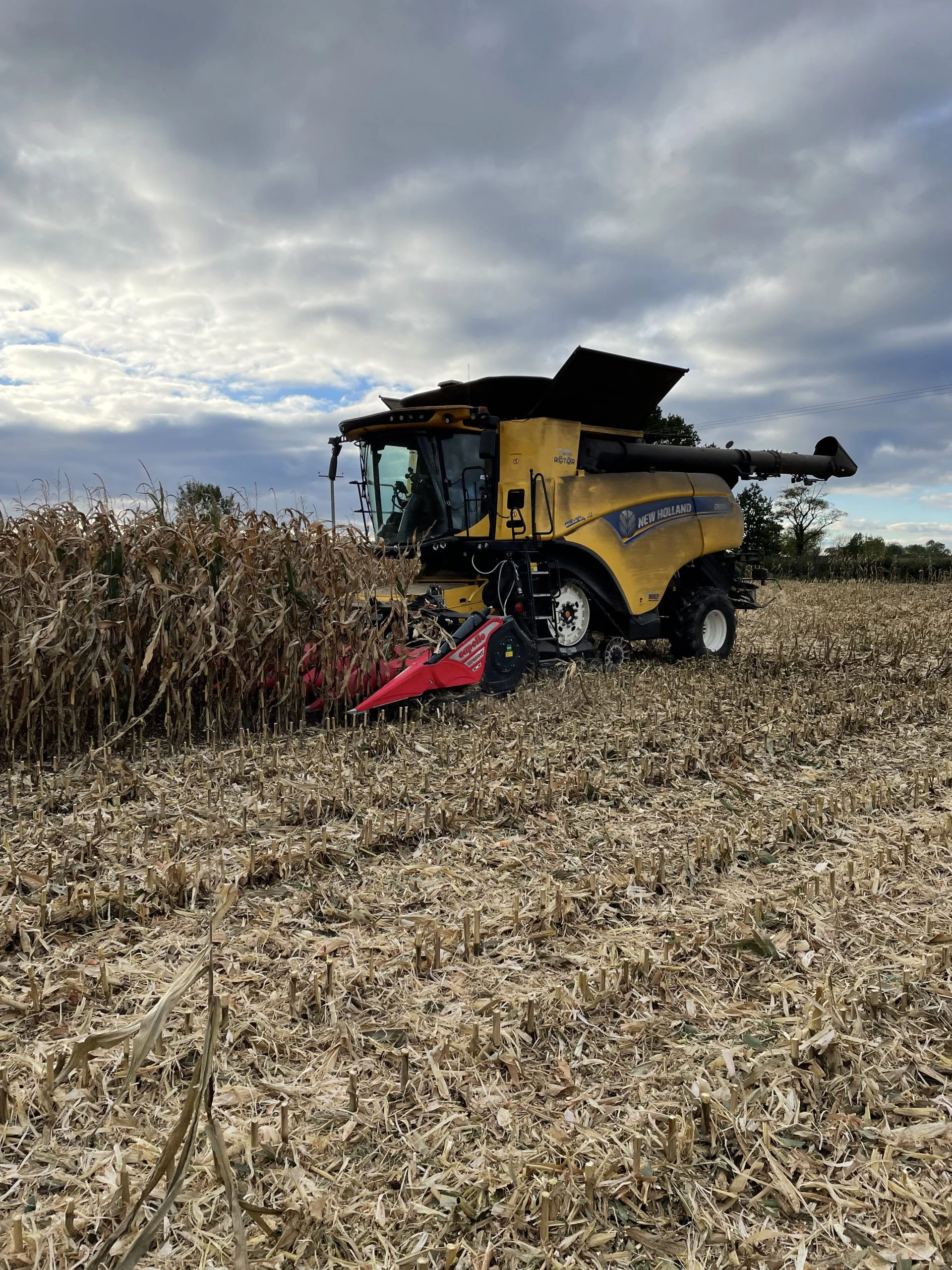 Capello Diamant Maize Header